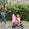 4 Wheels Pet Stroller Foldable Carrier Strolling Cart Travel Jogger Pet Stroller with Removable Liner Storage Basket for Dog Cat
